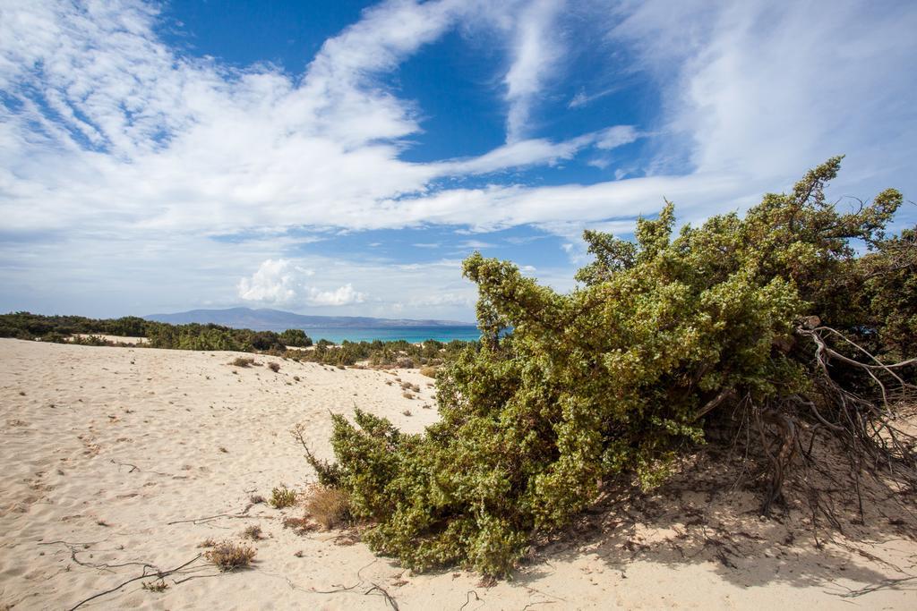 Alyko * Aliko Beach